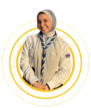 قائدة الجوالات